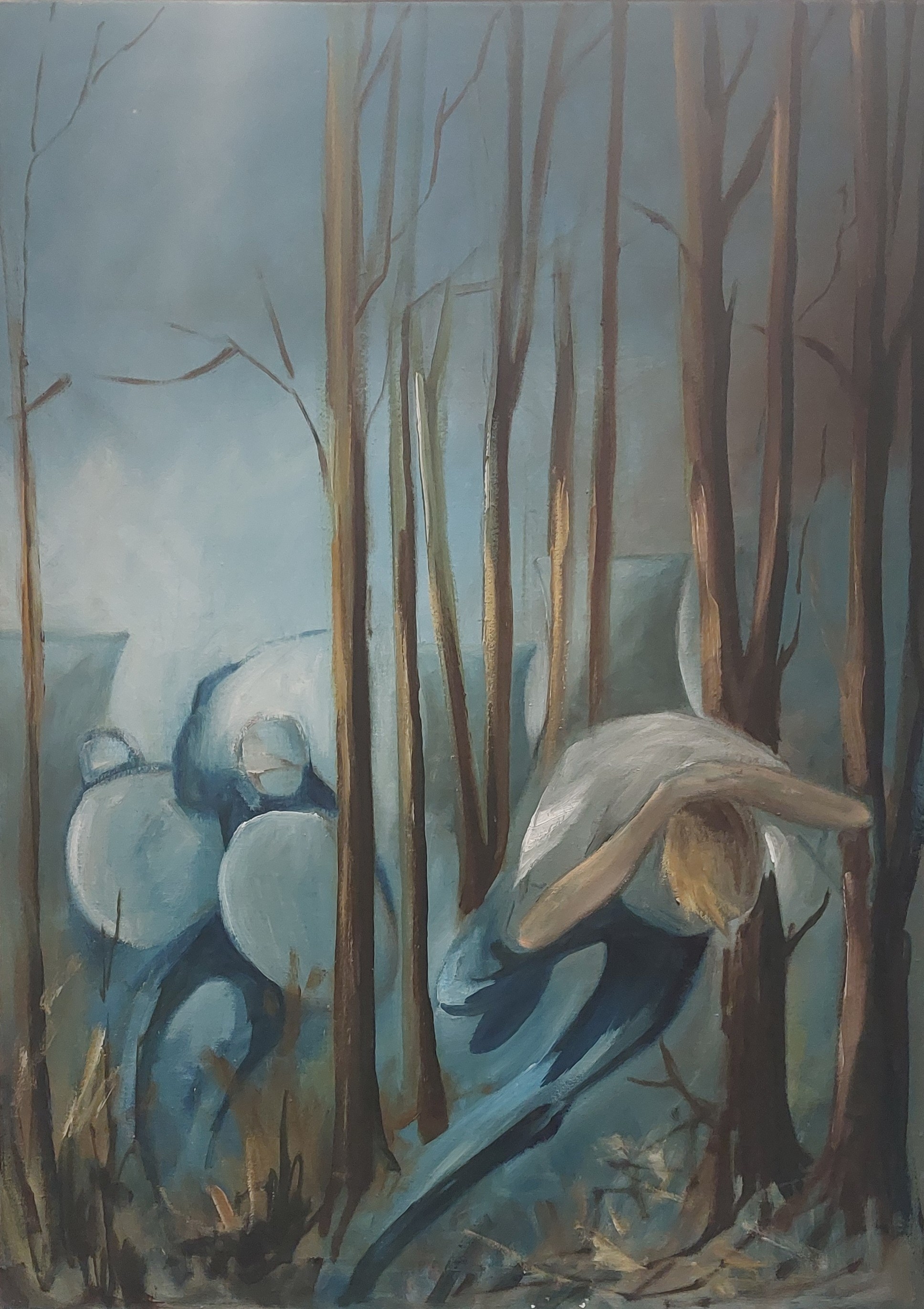 Sierhuis,%20Cor_(TL02)